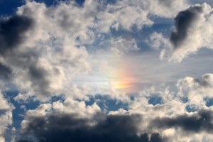 世界游泳接力队国际训练营日程变更公告，世界游泳锦标赛接力决赛